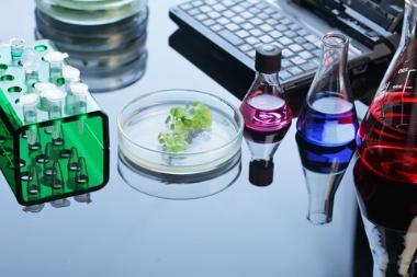 Organic Chemistry - Chemistry - master (Studiekatalog (380px))