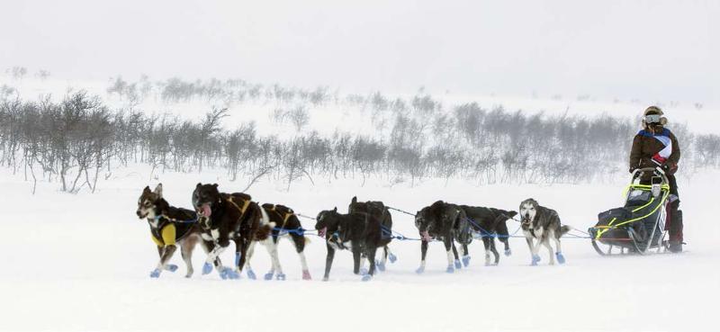 Finnmarksl&oslash;pet byr p&aring; mange utfordringer knyttet til terrenget og v&aelig;ret. Foto: Mads Suhr Pettersen
