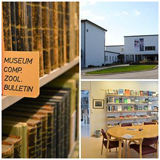 Collage of the in- and outside of the Museums library