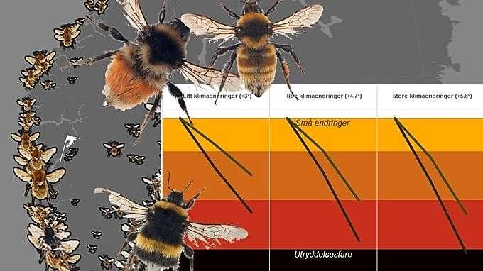 Illustrasjons-/bannerbilde for Open lecture: Visual storytelling – let your data shine