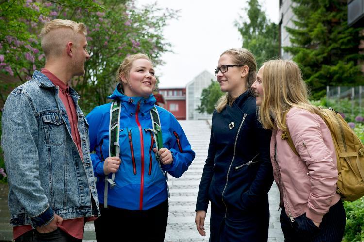 Bilde-Medie- og dokumentasjonsvitenskap - bachelor