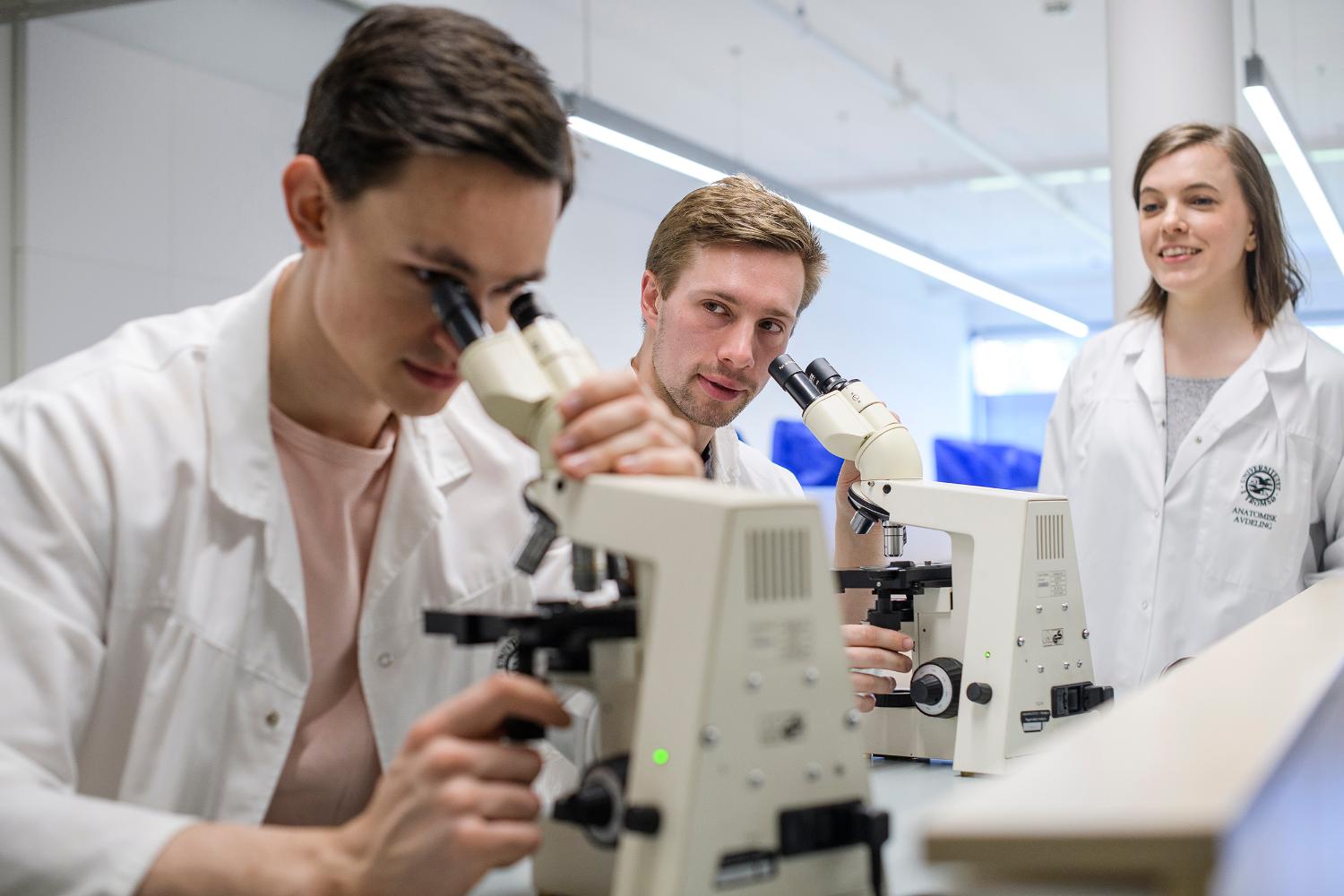 Bilde-Bioingeniørfag - bachelor