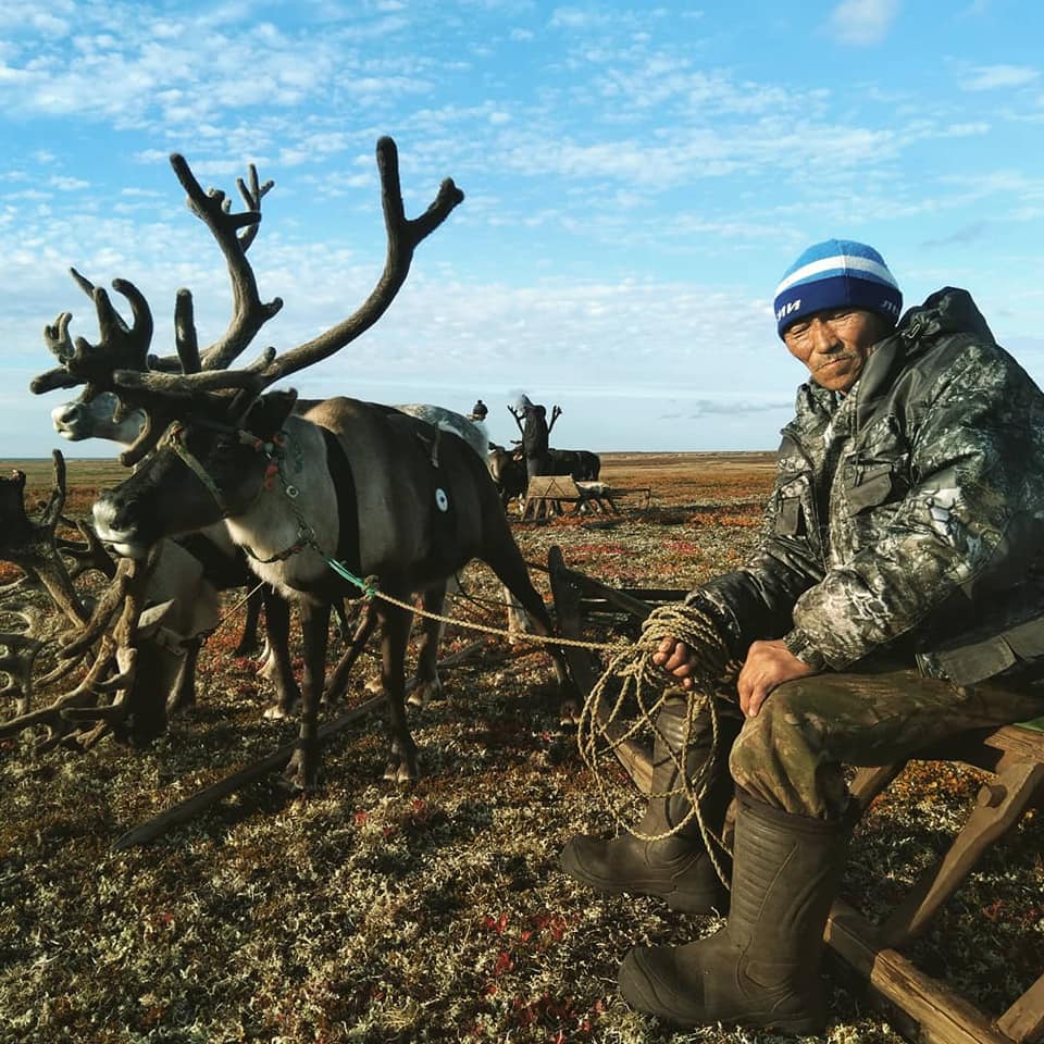 rein Nenets reindriftsutøver