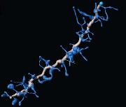 Huijgens neuron spines3.jpg