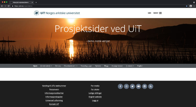 Skjermdump av enkel forside