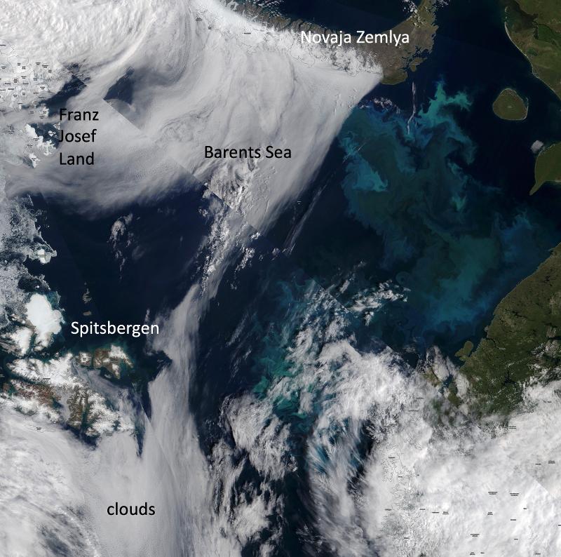 Figure 3: Satellite based color of the Barents Sea. Note the milky white large ocean areas, that have been caused by a massive bloom of tiny algae called coccolithophores. The picture shows the situation on August 6 2021, as this date had the least cloud cover, but the bloom was visible the entire August period.