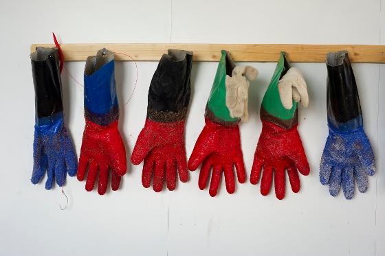Fishing gloves hanging on a wall