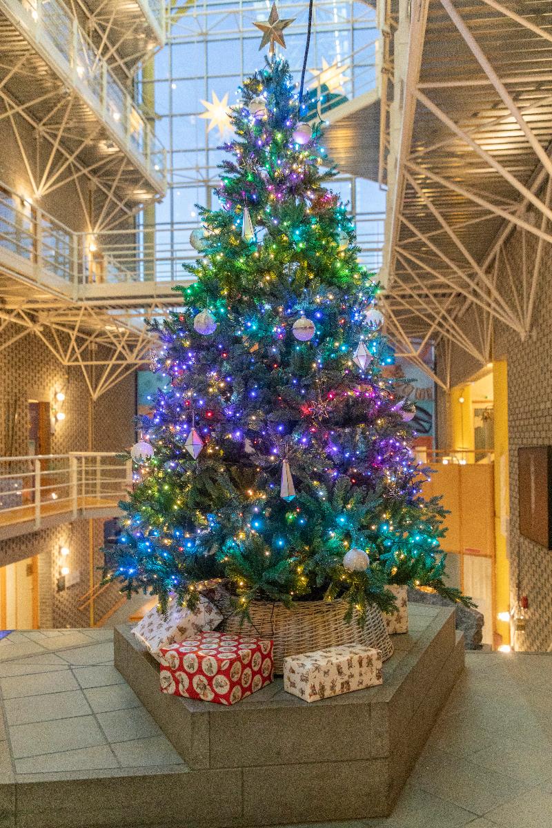 IMG_9457.jpg Juletre med pynt