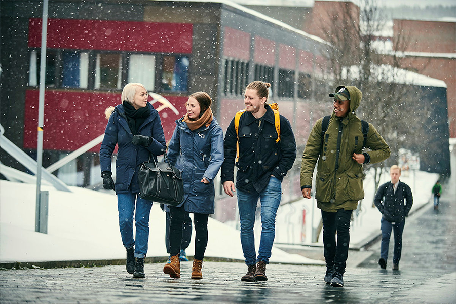 Bilde-Ph.d.-utdanning i helsevitenskap