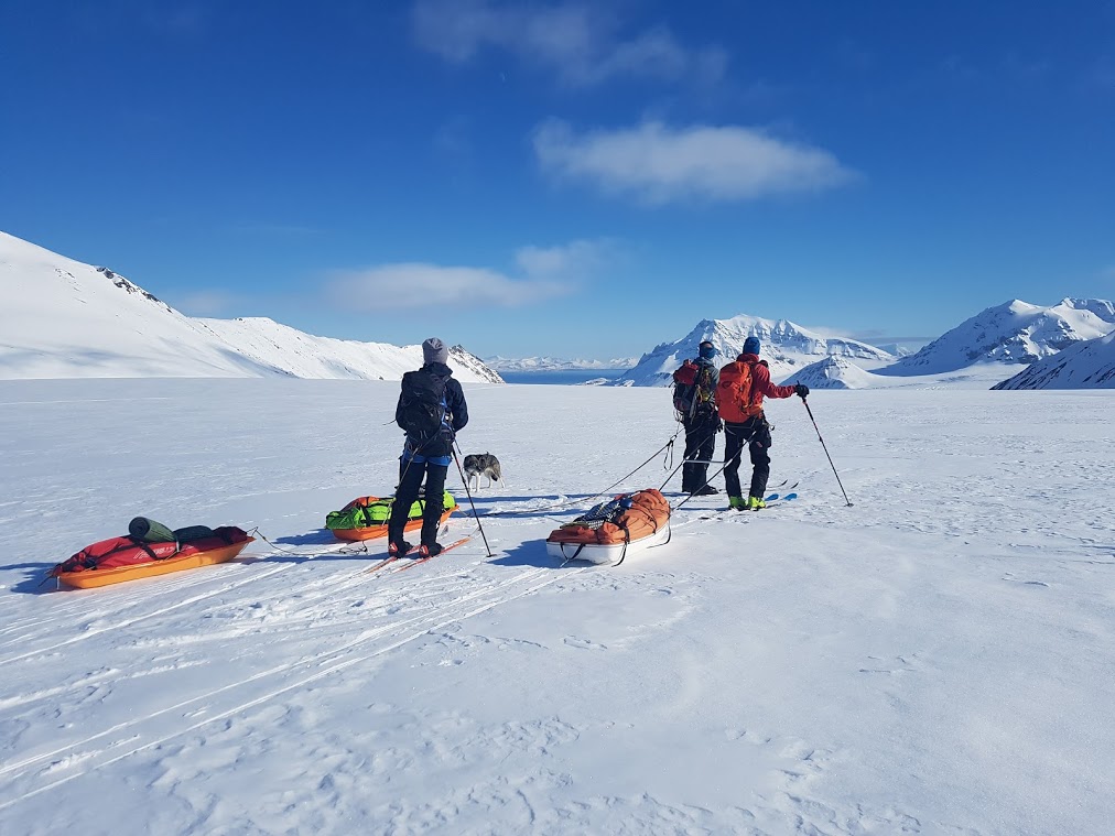 Skiløpere pulk Svalbard