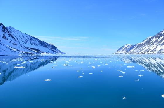 Fotograf Signe Busch Svalbard del 2 124.JPG