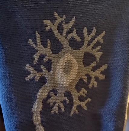 Blanket neuron Snoeren_crop.jpg