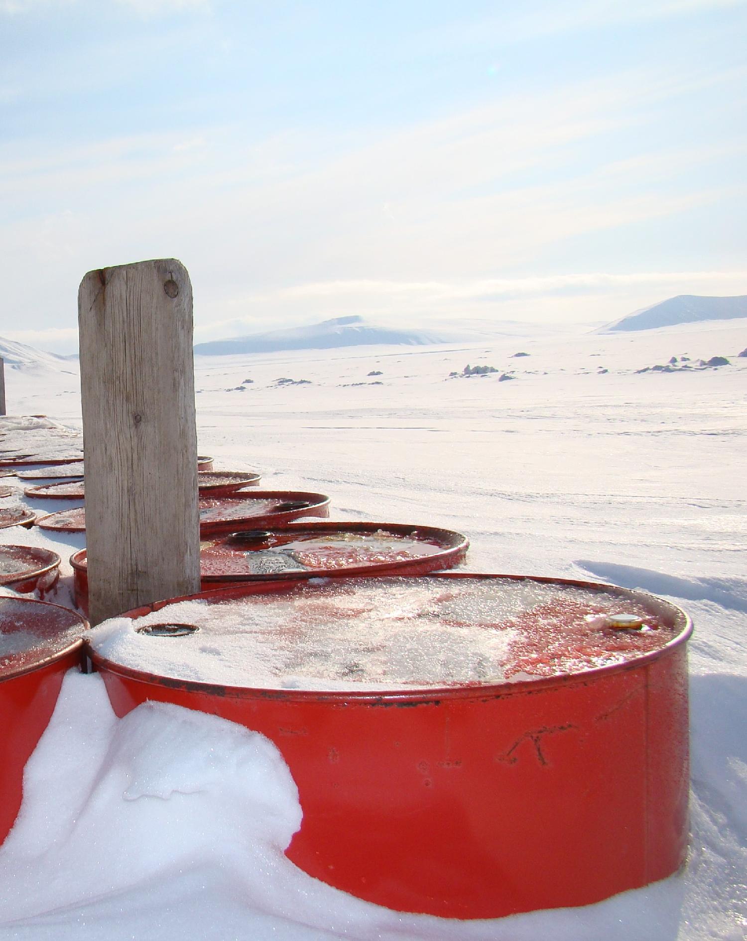 Bilde-Arctic Marine Ecotoxicology