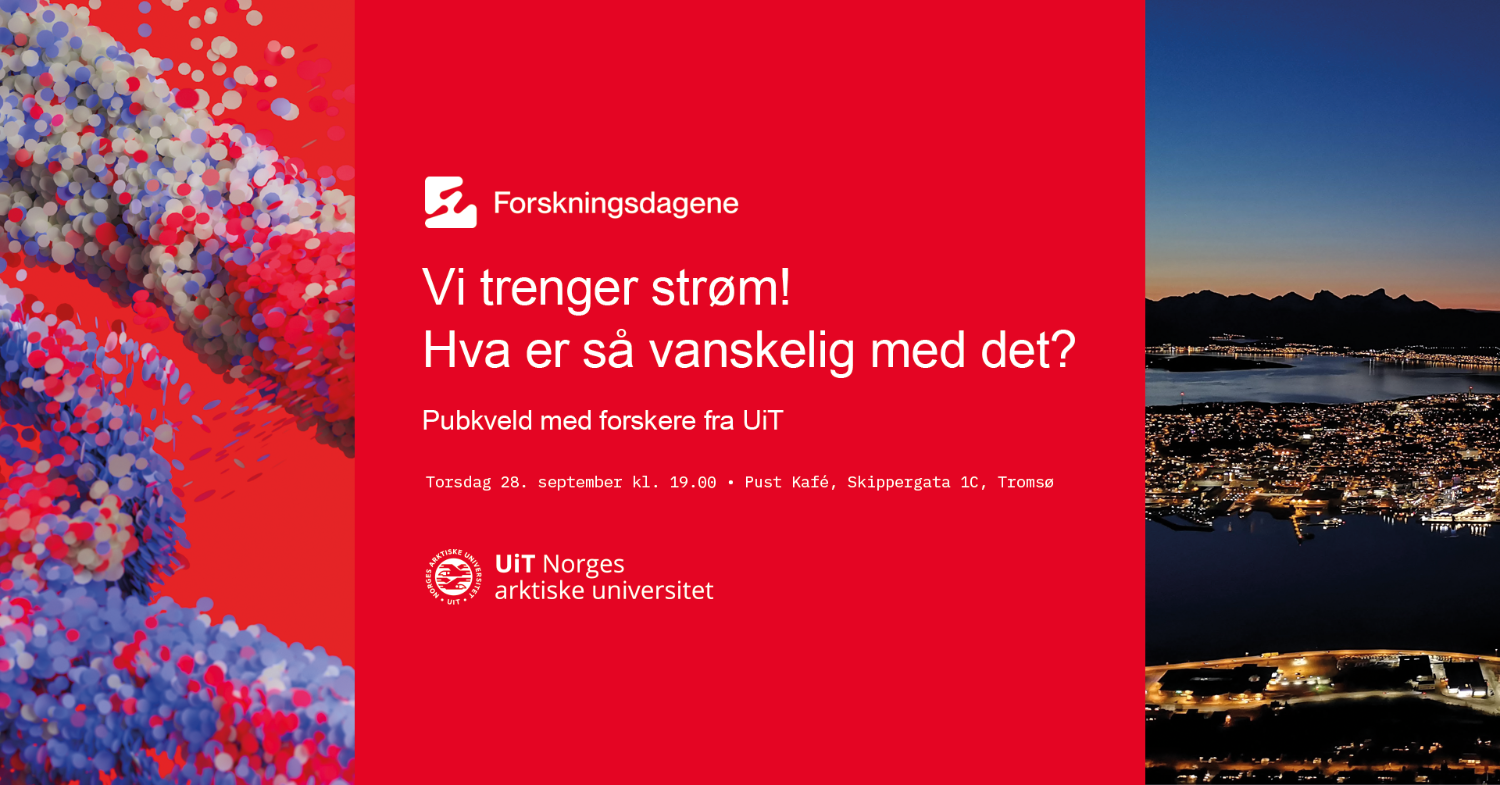 Illustrasjons-/bannerbilde for Vi trenger strøm! Hva er så vanskelig med det?