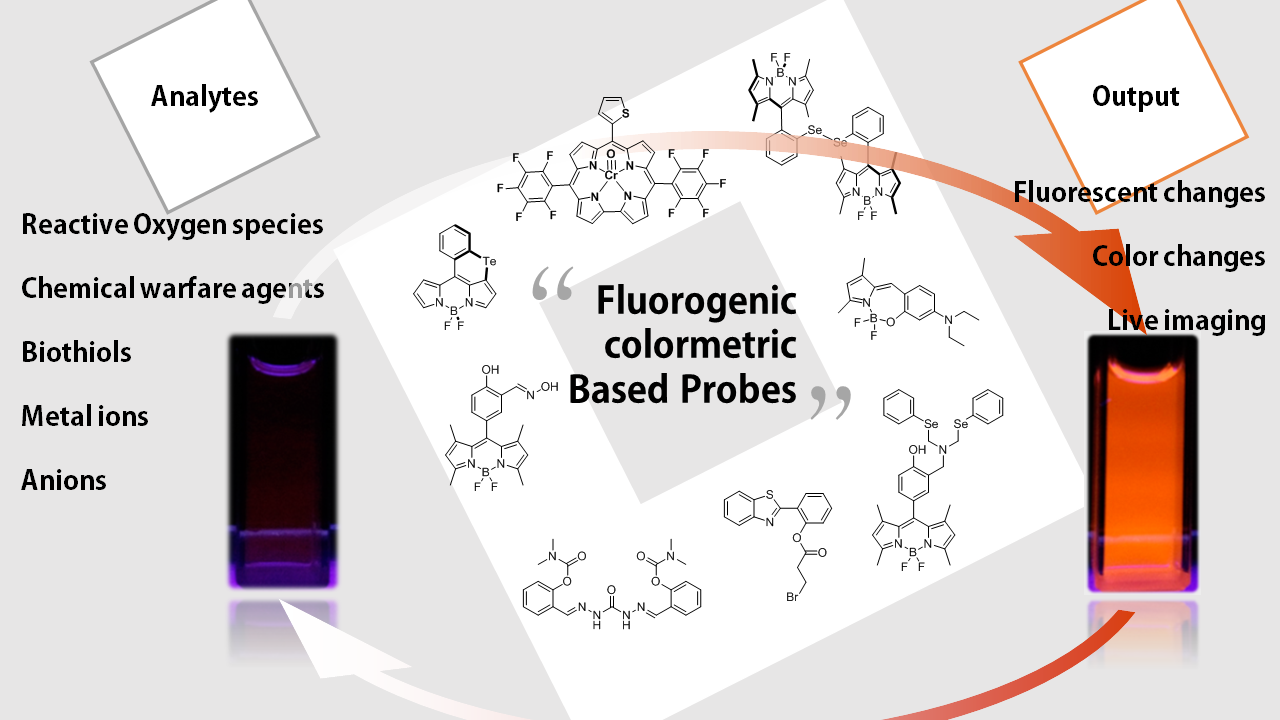 Illustrasjons-/bannerbilde for Organic materials seminar