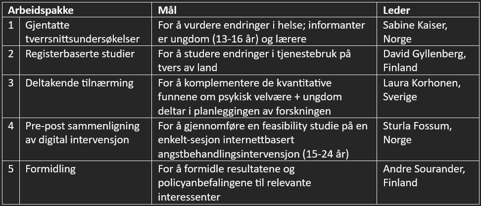 tabelloversikt over arbeidspakker