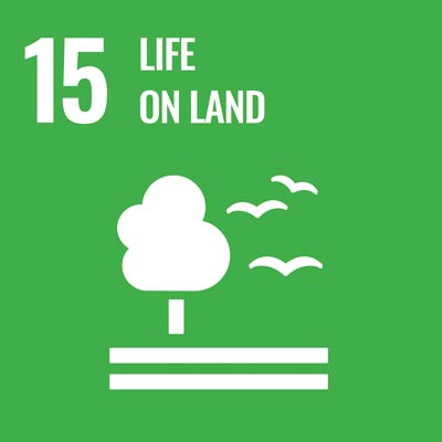 Sustainability goal 15