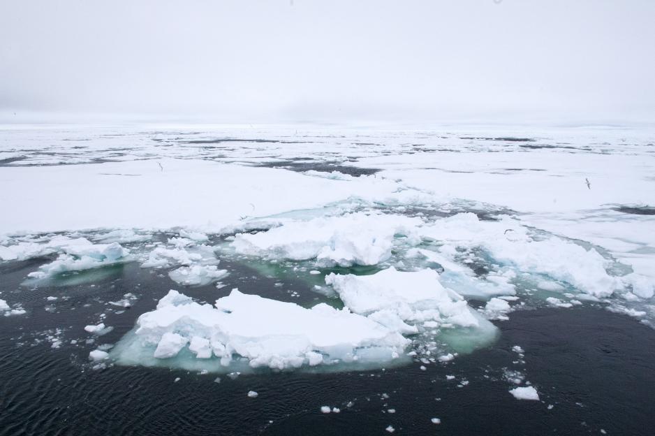 Ice and ocean