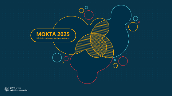 Illustrasjonsbilde for Mokta 2025 