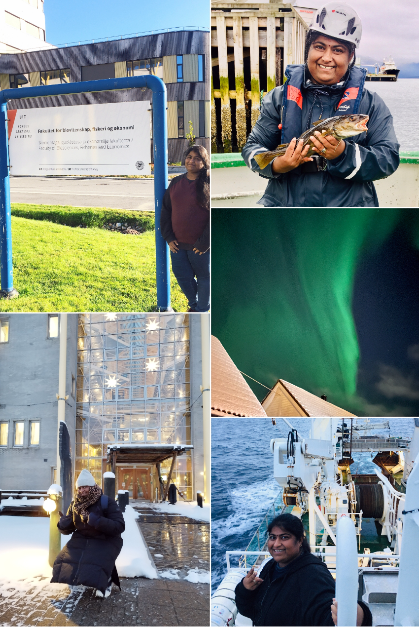 Uventhikka Sivanantham