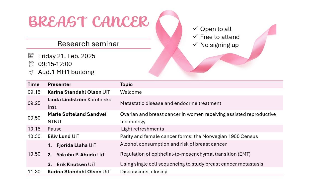 Illustrasjons-/bannerbilde for Research seminar on breast cancer