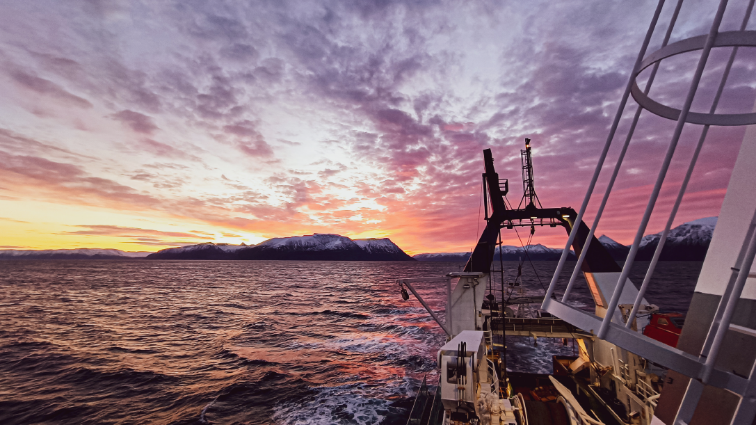 Illustrasjons-/bannerbilde for Åpning av fotoutstilling "First Impressions"