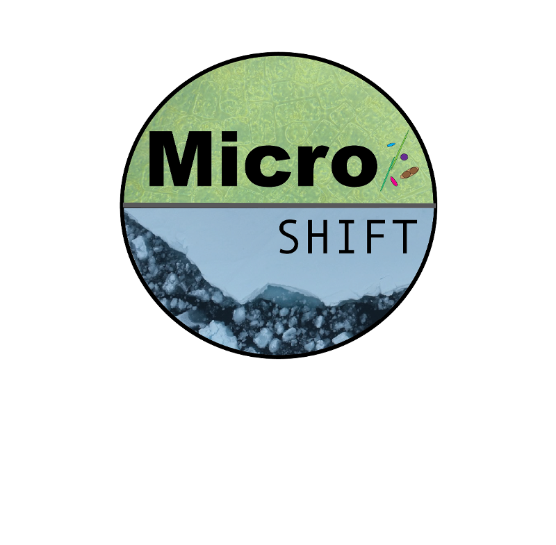 MicroSHIFT_logo_green.png Micro-SHIFT logo