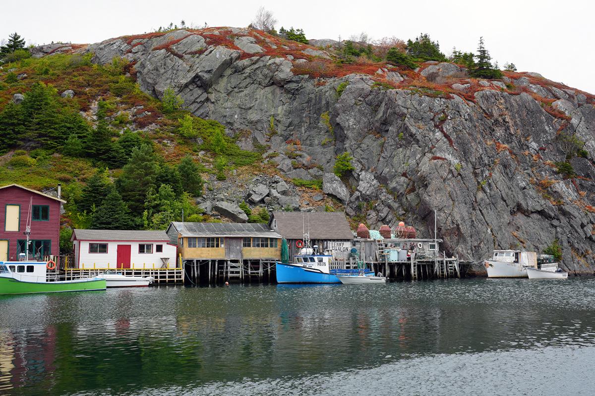 Quidi Vidi is an old fishing town some kilometers from the centre of St. John's. 