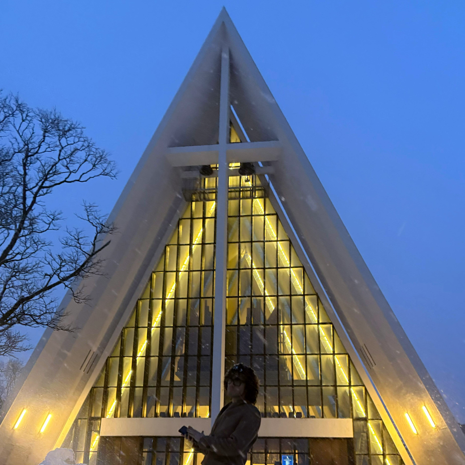 Bilde av Leonardo Pennacchi