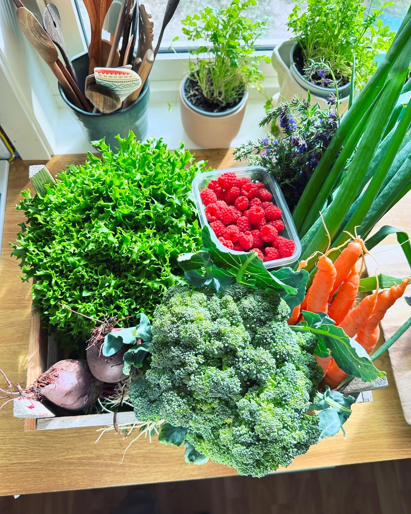 trekasse med masse fargerike gr&oslash;nnsaker