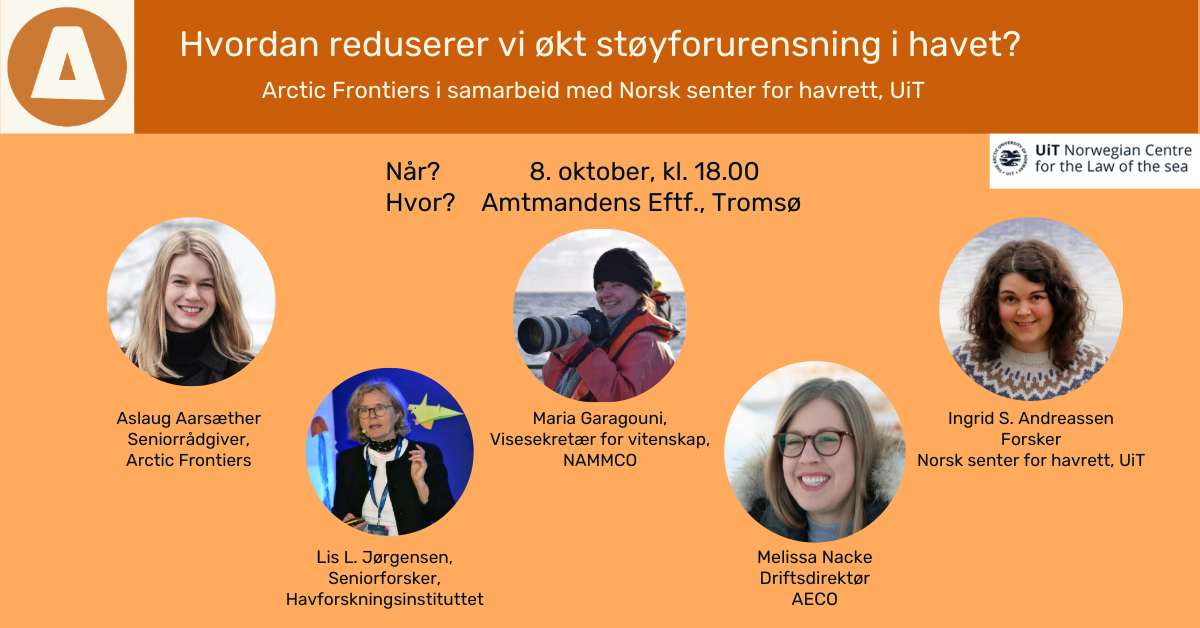 Illustrasjons-/bannerbilde for Hvordan reduserer vi økt støyforurensning i havet?