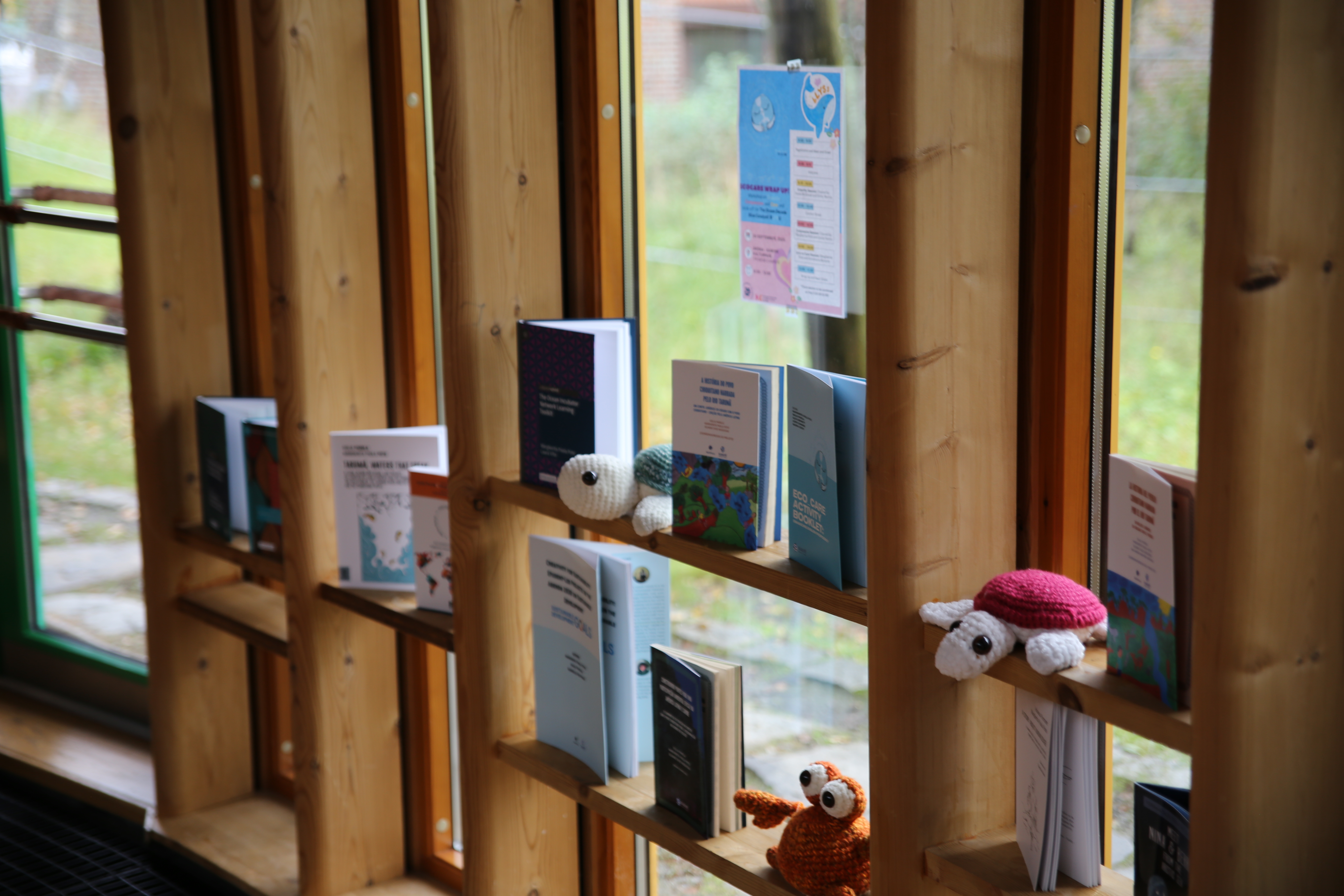 display of books on window frames