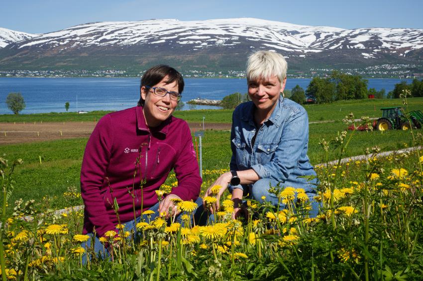 Two women sitting in a field, with fjords and mountains in the background.