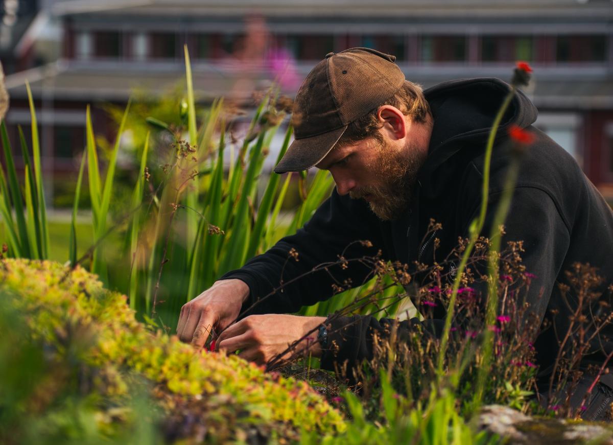 Foto: David Jensen/UiT