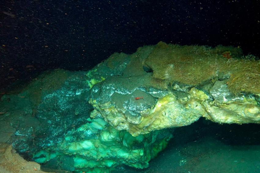 A mound at the sea floor.