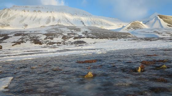 Illustrasjonsbilde for COAT arrangerer åpnet temamøte: De nye vintrene i nord – hvordan endres naturen?