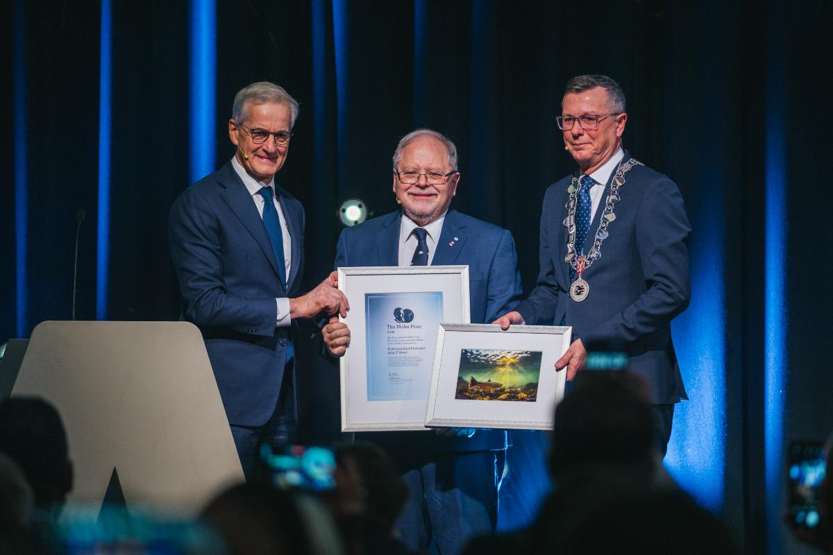 Three happy men with a diploma on a stage