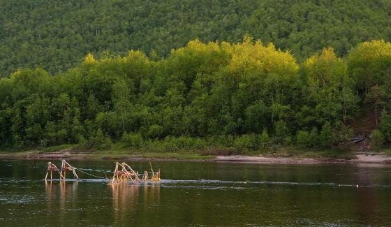 Pukkipato8_mod-sharpen_Panu Orell.jpg