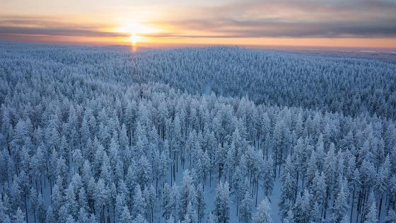 Illustrasjonsbilde for Arctic Security Forum 2026: Opening Pathways to Northern Collaboration