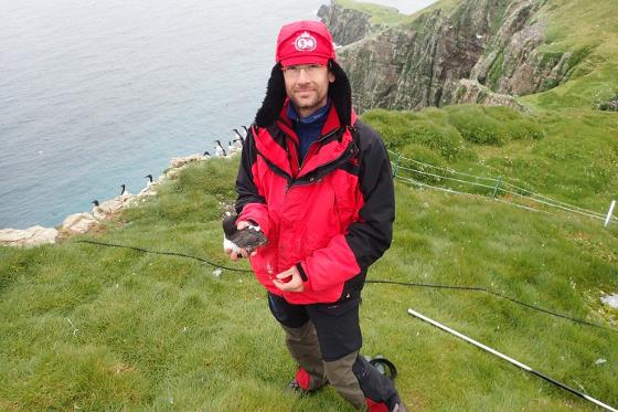Illustrasjonsbilde for SEATRACK – viktig program som muliggjør studiet av sjøfuglers forflytninger | Arr: BirdLife Tromsø