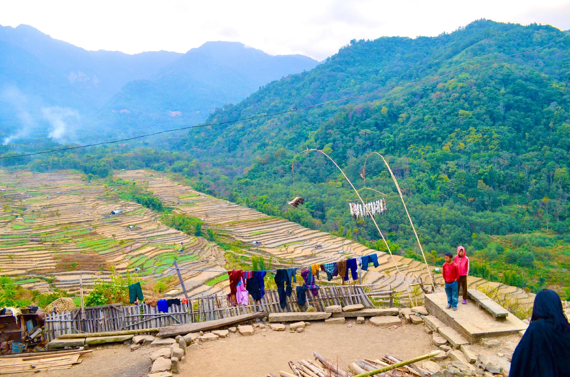 Illustrasjons-/bannerbilde for Hierarchies of Earth: Caste, Indigeneity, and the Politics of Land, Life, and Ecological Futures
