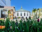 Bilde A summer place for all 931322