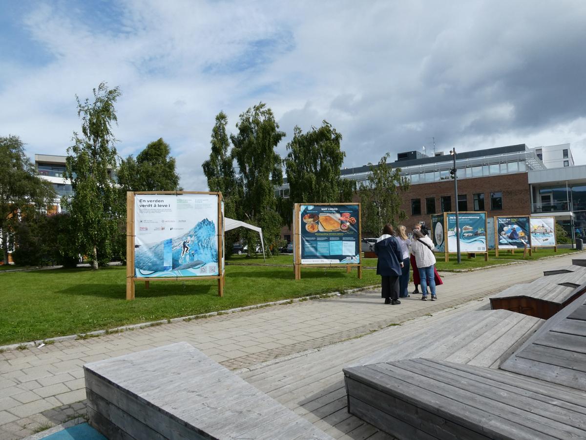 Et oversiktsbilde som viser en utstilling i en park. Noen personer som st&aring;r og ser p&aring; en av kunstelementene. 