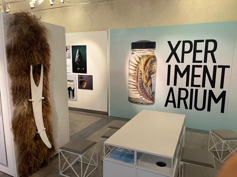 Xperimentarium.jpg