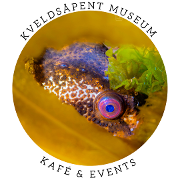 Bilde Marine biodiversity workshop with Rissa Citizen Science